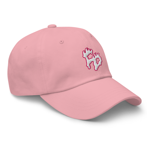 FD Dad hat