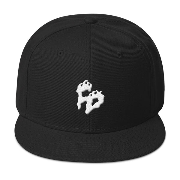 FD Snapback Hat