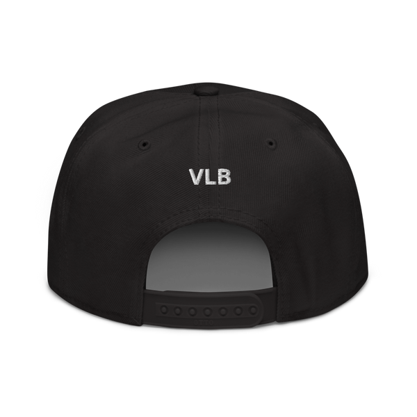 VLS Snapback Hat