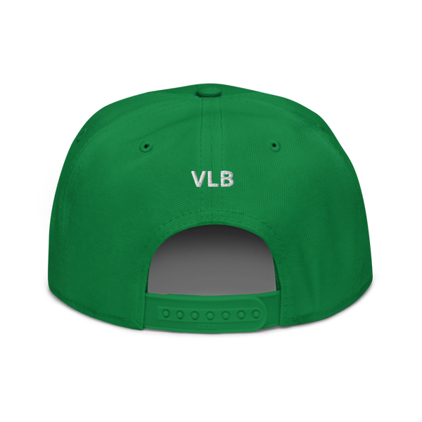 VLS Snapback Hat