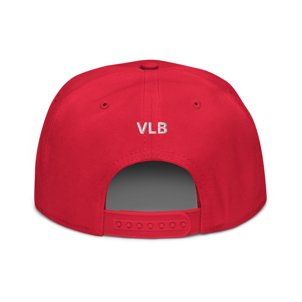 VLS Snapback Hat