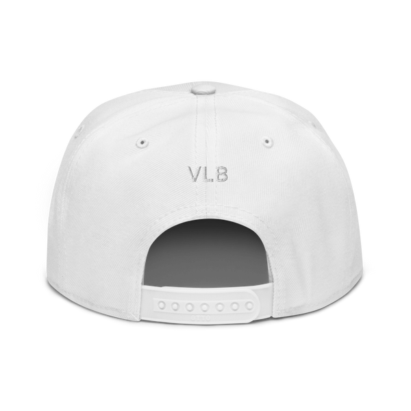 VLS Snapback Hat