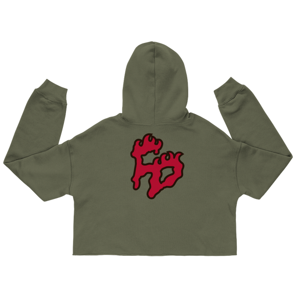 FD Disrespectful Crop Hoodie